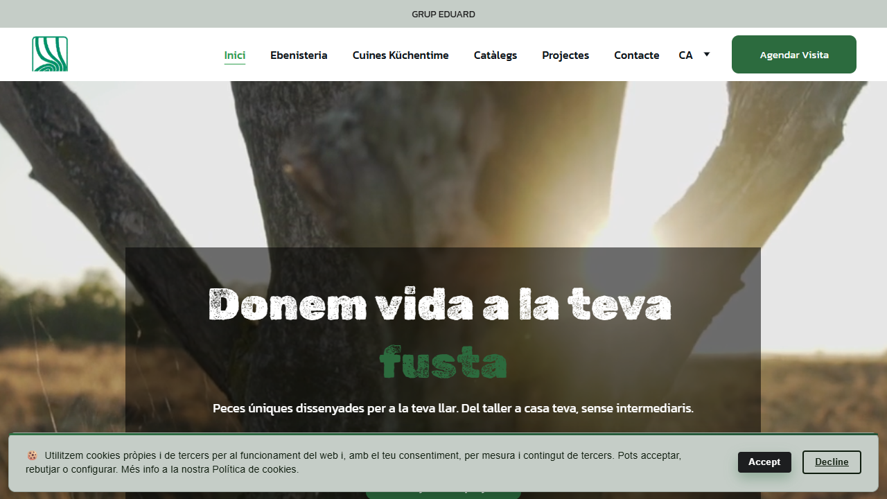 Vista previa de la web Grup Eduard